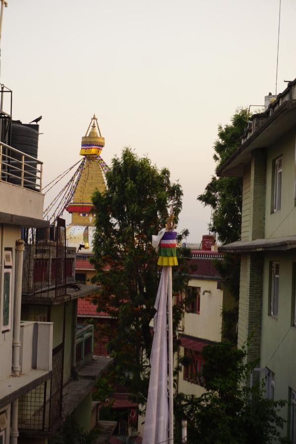 Drakon Nest Homestay Katmandu Zewnętrze zdjęcie