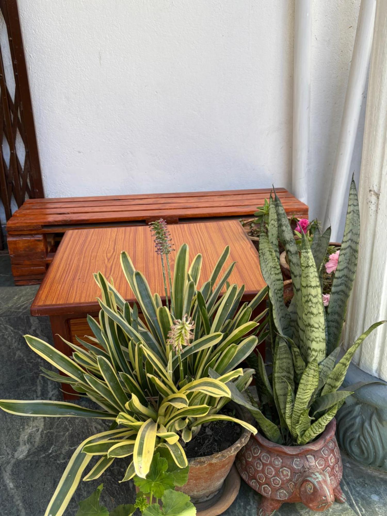 Drakon Nest Homestay Katmandu Zewnętrze zdjęcie